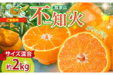 ZJ6071_【2026年先行予約】不知火(しらぬい) オレンジ みかん 2kg 訳あり ご家庭用 サイズ混合