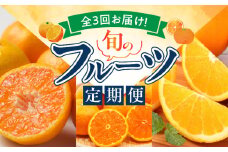 G60-T57_定期便 全3回 紀州 和歌山産 旬 フルーツ 温州みかん なつみ バレンシア オレンジ 赤秀品 カラマンダリン 吉浦 ポンカン 柑橘 コク 秀品 完熟 高糖度 果物 果実 デザート 国産 お取り寄せ 和歌山県 湯浅町 送料無料