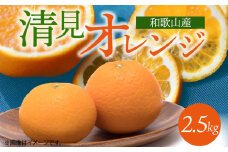 G7328_【2026年先行予約】とにかくジューシー 清見 オレンジ 2.5kg フルーツ 果物 柑橘 果実 甘い 果汁 ジューシー コク 柑橘の親 国産 食品 食べ物 魚鶴商店 平成の三大柑橘 お取り寄せ 和歌山県 湯浅町 送料無料