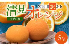 G7329_【2026年先行予約】紀州有田産 清見 オレンジ 5kg【家庭用 訳あり】タンゴール みかん 柑橘 フルーツ 果物 デザート 果実 お取り寄せ 和歌山県 湯浅町 有田 送料無料