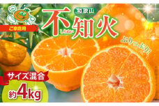 ZJ6094_【2026年先行予約】不知火 オレンジ みかん 訳あり 家庭用 4kg サイズ 混合 柑橘 果物 ジューシー ぷりぷり 果肉 果汁 果実 フルーツ ビタミン コク 上品 甘味 濃厚 酸味 レジャー 産地直送 国産 太千青果物 お取り寄せ お取り寄せフルーツ 和歌山県 湯浅町 送料無料