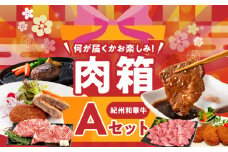 BN6134_お楽しみ肉箱 Aセット お試し ドキドキ 黒毛和牛 ハンバーグ メンチカツ ステーキ ロース ヒレ 焼肉 すき焼き しゃぶしゃぶ 盛り合わせ コロッケ ローストビーフ 食品 和歌山県 湯浅町 送料無料