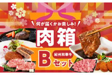 BN6136_お楽しみ肉箱 Bセット お試し ドキドキ 黒毛和牛 ハンバーグ メンチカツ ステーキ ロース ヒレ 焼肉 すき焼き しゃぶしゃぶ 盛り合わせ コロッケ ローストビーフ 食品 和歌山県 湯浅町 送料無料