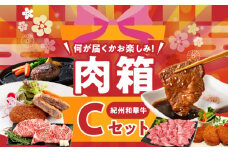 BN6137_お楽しみ肉箱 Cセット お試し ドキドキ 黒毛和牛 ハンバーグ メンチカツ ステーキ ロース ヒレ 焼肉 すき焼き しゃぶしゃぶ 盛り合わせ コロッケ ローストビーフ 食品 和歌山県 湯浅町 送料無料