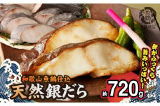 G7334_和歌山魚鶴仕込みのだし漬け天然銀だら切身8切（真空パック入） 約720g 小分け  独自製法 良質な脂 ふっくら 柔らかい 身質 甘み 旨味 白身魚のトロ 梅酒 北海道南産 真こんぶ だし漬け 煮付け ムニエル 味噌漬け 鍋物 冷凍 湯浅町 送料無料