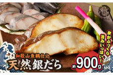 G7335_和歌山魚鶴仕込みのだし漬け天然銀だら切身10切（真空パック入） 約900g 小分け  独自製法 良質な脂 ふっくら 柔らかい 身質 甘み 旨味 白身魚のトロ 梅酒 北海道南産 真こんぶ だし漬け 煮付け ムニエル 味噌漬け 鍋物 冷凍 湯浅町 送料無料