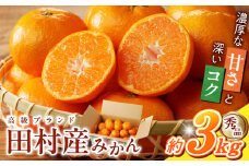 G7339_【2025年 先行予約】 高級ブランド 秀品 紀州有田田村産みかん 3kg 濃厚 糖度 酸味 バランス 甘さ コク 国産 みかん 有田みかん フルーツ 果物 果実 デザート おやつ お取り寄せ お取り寄せフルーツ 和歌山県 湯浅町 送料無料