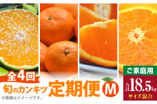 AB61-T10_【定期便4回】 旬 カンキツ 定期便 M 訳あり 家庭用 青切り有田みかん 完熟有田みかん 清見オレンジ カラマンダリン みかん オレンジ 新鮮 甘酸っぱい 甘み 酸味 バランス 濃厚 ノーワックス お取り寄せ お取り寄せフルーツ 和歌山県 湯浅町 送料無料