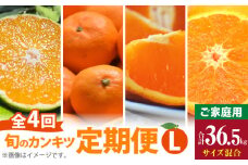AB61-T11_【定期便4回】 旬 カンキツ 定期便 L 訳あり 家庭用 青切り有田みかん 完熟有田みかん 清見オレンジ カラマンダリン みかん オレンジ 新鮮 甘酸っぱい 甘み 酸味 バランス 濃厚 ノーワックス お取り寄せ お取り寄せフルーツ 和歌山県 湯浅町 送料無料