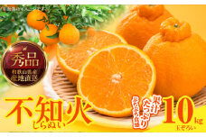 MK1010_不知火 (しらぬい) 秀品 玉ぞろい 箱込 10kg (内容量約9.2kg)  和歌山県産 産地直送