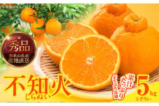MK1013_不知火 (しらぬい) 秀品 玉ぞろい 箱込 5kg (内容量約4.4kg)  和歌山県産 産地直送 清見オレンジ ポンカン 交配種 デコポン 剥きやすい 食べやすい ぷちぷち 食感 果汁 みずみずしい 甘酸っぱい ジューシー 和歌山県 湯浅町 送料無料