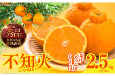 MK1014_不知火 (しらぬい) 秀品 玉ぞろい 箱込 2.5kg (内容量約2.3kg)  和歌山県産 産地直送 清見オレンジ ポンカン 交配種 デコポン 剥きやすい 食べやすい ぷちぷち 食感 果汁 みずみずしい 甘酸っぱい ジューシー 和歌山県 湯浅町 送料無料