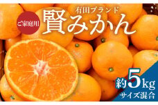 ZD92065_【2025年先行予約】【家庭用】有田ブランド 賢みかん 約5kg（サイズ混合）