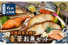 G60-T89_魚鶴自慢 豪華お魚セット 全6回定期便