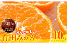 MK1034_【2025年先行予約】みかん 大玉 どっこいしょ 箱込 10kg ( 内容量 9.2kg ) 2Lサイズ以上 秀品 優品 混合 有田みかん 和歌山県産 産地直送 【みかんの会】