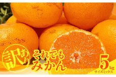 MK1035_【2025年先行予約】訳あり それでも みかん 箱込 5kg ( 内容量 4.4kg ) サイズミックス Ｂ品 有田みかん 和歌山県産 産地直送 家庭用【みかんの会】