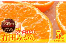 MK1033_【2025年先行予約】みかん 大玉 どっこいしょ 箱込 5kg ( 内容量 4.4kg ) 2Lサイズ以上 秀品 優品 混合 有田みかん 和歌山県産 産地直送 【みかんの会】