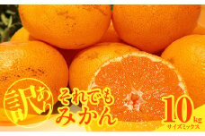 MK1036_【2025年先行予約】訳あり それでも みかん  箱込 10kg ( 内容量 9.2kg ) サイズミックス Ｂ品 有田みかん 和歌山県産 産地直送 家庭用【みかんの会】