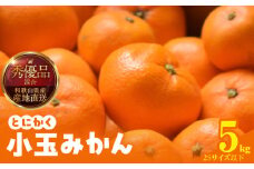 MK1040_【2025年先行予約】みかん とにかく 小玉 箱込 5kg ( 内容量 4.4kg ) 2Sサイズ以下 秀品 優品 混合 有田みかん 和歌山県産 産地直送 【みかんの会】