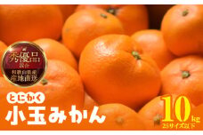 MK1041_【2025年先行予約】みかん とにかく 小玉 箱込 10kg ( 内容量 9.2kg ) 2Sサイズ以下 秀品 優品 混合 有田みかん 和歌山県産 産地直送 【みかんの会】