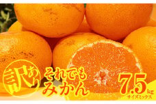 MK1049_【2025年先行予約】訳あり それでも みかん 箱込 7.5kg ( 内容量 6.8kg ) サイズミックス Ｂ品 有田みかん 和歌山県産 産地直送 家庭用【みかんの会】