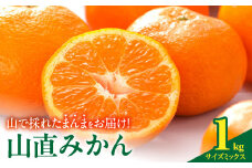 MK1050_【2025年先行予約】みかん 山から直送 箱込 1kg ( 内容量 0.9kg ) 鮮度優先ごろごろ規格 和歌山県産 産地直送 【みかんの会】