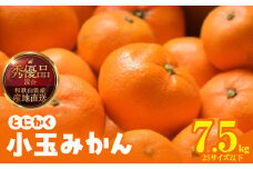 MK1052_【2025年先行予約】みかん とにかく 小玉 箱込 7.5kg ( 内容量 6.8kg ) 2Sサイズ以下 秀品 優品 混合 有田みかん 和歌山県産 産地直送 【みかんの会】