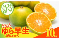 MK1066_【2025年先行予約】訳あり ゆら早生 みかん 箱込 10kg ( 内容量 9.2kg ) サイズミックス 有田みかん 和歌山県産