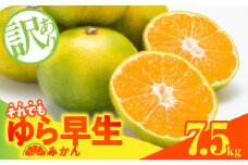MK1067_【2025年先行予約】訳ありゆら早生 みかん 箱込 7.5kg ( 内容量 6.8kg ) サイズミックス 有田みかん 和歌山県産