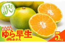 MK1068_【2025年先行予約】訳あり ゆら早生 みかん 箱込 5kg ( 内容量 4.4kg ) サイズミックス 有田みかん 和歌山県産