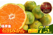 MK1071_【2025年先行予約】みかん 極早生 箱込 7.5kg ( 内容量6.8kg ) おまかせサイズ（S/M/L）秀品・優品 の混合 有田みかん 和歌山県産 