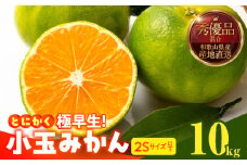 MK1074_【2025年先行予約】とにかく小玉 みかん 極早生 箱込 10kg ( 内容量 9.2kg ) 2Sサイズ以下 秀品 優品 混合 有田みかん 和歌山県産