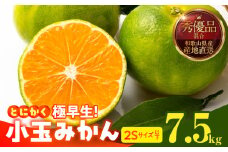 MK1075_【2025年先行予約】とにかく小玉 みかん 極早生 箱込 7.5kg ( 内容量 6.8kg ) 2Sサイズ以下 秀品 優品 混合 有田みかん 和歌山県産