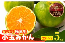 MK1076_【2025年先行予約】とにかく小玉 みかん 極早生 箱込 5kg ( 内容量 4.4kg ) 2Sサイズ以下 秀品 優品 混合 有田みかん 和歌山県産