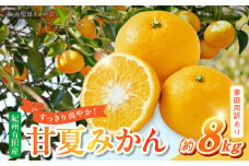 G7362_【2026年先行予約】【ご家庭用】【訳あり】紀州有田産 すっきり爽やか 甘夏みかん ８kg
