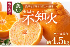 ZD92070_【2026年先行予約】【濃厚】有田の不知火 (デコポン) 【訳あり 家庭用】 4.5kg (サイズ混合)