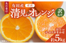 ZD92071_【2026年先行予約】【産直】有田産清見オレンジ 約5kg（訳あり家庭用サイズおまかせまたは混合）