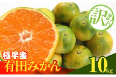MK1082_【2025年先行予約】訳あり みかん 極早生 箱込 10kg ( 内容量 9.2kg ) サイズミックス 有田みかん 和歌山県産