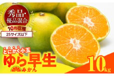 MK1058_【2025年先行予約】ゆら早生 みかん とにかく小玉 箱込 10kg ( 内容量9.2kg ) 2Sサイズ以下 秀優混合 有田みかん 和歌山県産