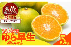 MK1060_【2025年先行予約】ゆら早生 みかん とにかく小玉 箱込 5kg ( 内容量4.4kg ) 2Sサイズ以下 秀優混合 有田みかん 和歌山県産