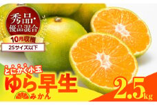 MK1061_【2025年先行予約】ゆら早生 みかん とにかく小玉 箱込 2.5kg ( 内容量2.3kg ) 2Sサイズ以下 秀優混合 有田みかん 和歌山県産