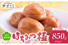 YD1006_紀州南高梅はちみつ極塩分約6％（850ｇ）