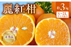 BF6062_（2026年先行受付）麗紅柑 (れいこう) 赤秀品 S～2Lサイズ 3kg 和歌山有田産