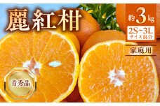 BF6063_（2026年先行受付）麗紅柑 (れいこう) 青秀品 (家庭用) 2S～3Lサイズ 3kg 和歌山有田産