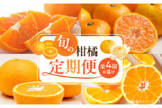 【定期便 全4回】紀州和歌山産旬の柑橘セット(みかん・不知火・せとか・清見)全4回_G60-T99