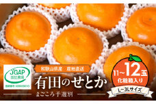 ZE6496_【2026年先行予約】【まごころ手選別】　せとか　化粧箱入り　(11～12玉)