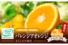 ZE6508_【2026年先行予約】和歌山県産 バレンシアオレンジ 3kg 家庭用