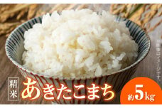 AW6115_あきたこまち約5kg