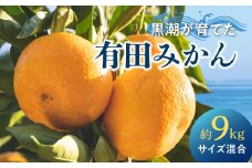 AE6110_【2025年先行予約】黒潮が育てた 有田みかん 約9kg (サイズ混合)