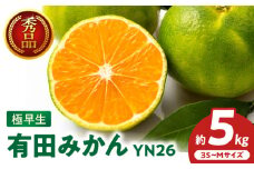 ZT6403_有田みかん　極早生　秀品　約5Kg